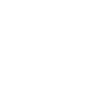 dog with a cone icon